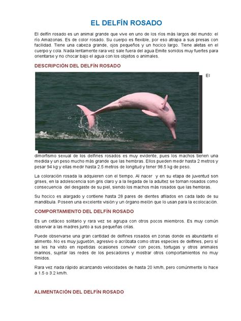 El Delfín Rosado | Naturaleza | Sicología y ciencia ...