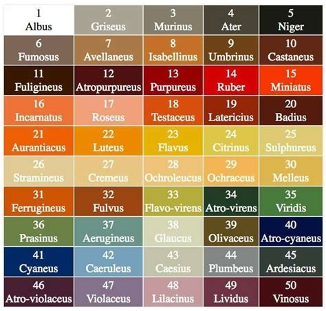 El Descanso del Escriba: Nombres de colores en latín!  50 ...