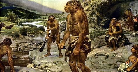El destete de los neandertales tenía lugar a los seis ...