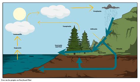 El Diagrama del Ciclo del Agua Storyboard por es examples