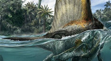 El dinosaurio carnívoro más grande vivía en el agua ...