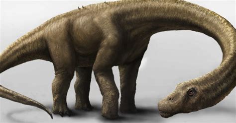 El dinosaurio más grande del mundo, descubierto en la Patagonia | El ...