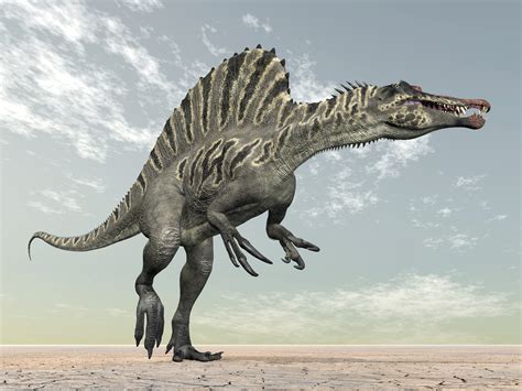 El dinosaurio más grande del planeta está en Barcelona ...