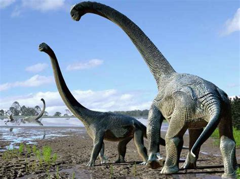 El Dinosaurio Más Grande Que Existió   Dinosaurios.co