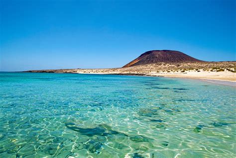 El ecosistema marino de las Islas Canarias | MundiChinchetas