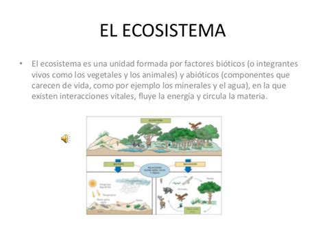 El ecosistema