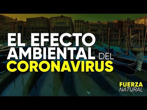 EL EFECTO AMBIENTAL DEL CORONAVIRUS: ¿se reduce la ...