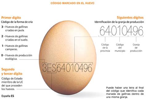 El etiquetado de los huevos | Blog de DIA