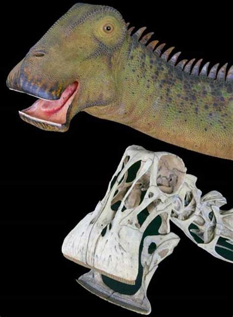 El extraño dinosaurio con mas dientes del mundo | Sociedad ...