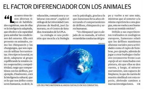 El factor diferenciador con los animales – Noticias de la Universidad ...