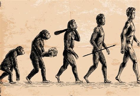 El fósil más antiguo del homo sapiens fue encontrado en ...