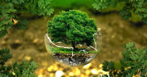 El G7 del Medio ambiente analizará medidas concretas para ...