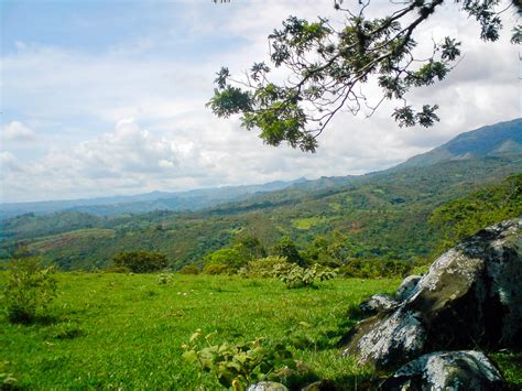 El gobierno declara más de 1.400 hectáreas del Valle del Cauca como ...