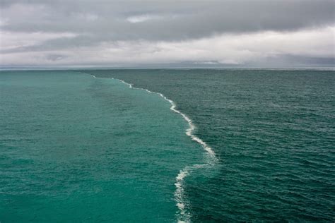 El Golfo de Alaska y el falso mito de los dos mares