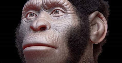 El Homo naledi convivió con Homo sapiens hace 300.000 años ...