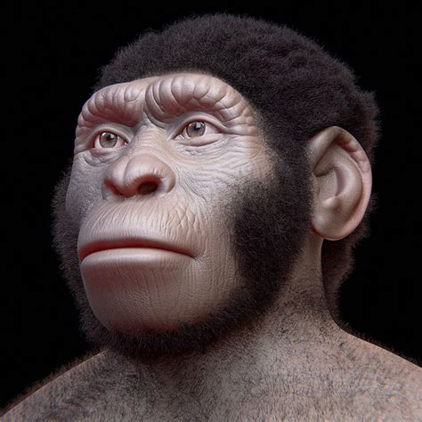 El Homo naledi, un homínido de cerebro pequeño, pero ...