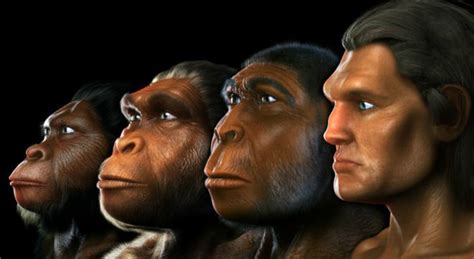 El homo sapiens es 100.000 años más viejo de lo que se ...