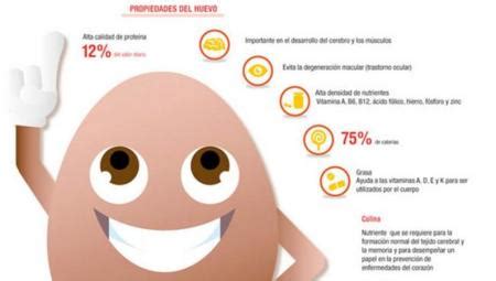 El huevo y sus beneficios. Infografía