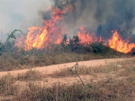 El humo de los incendios en el Amazonas llegó al norte de ...