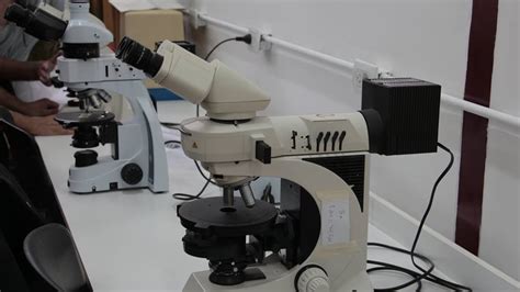 El Laboratorio de Microscopía adquirió nuevo espacio para ...