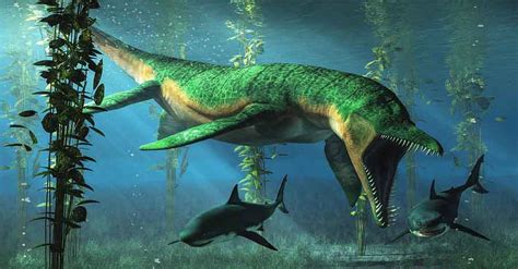El Liopleurodon : un reptil marino de la era mesozoica