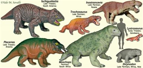 El Lystrosaurus: 2 colmillos inmensos en un dinosauriocerdo
