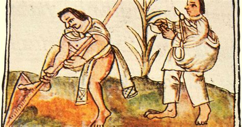 El Maíz era base de la Alimentación en Mesoamérica hace ...