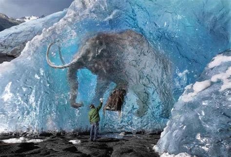 El mamut prehistórico – vida, fotos y características – Dinosaurios