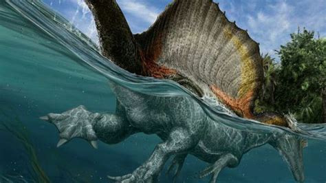 El más grande dinosaurio carnívoro era acuático   ¡No sabes nada!