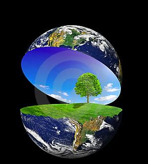 El medio ambiente: Definición y constituyentes del medio ...