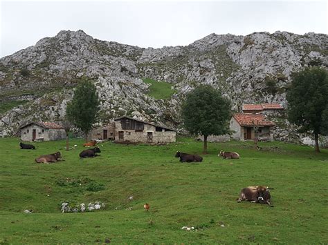 El Medio Rural Asturiano en Imágenes – BLOG de AGINTEC Ingeniería