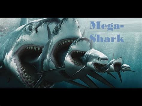 El Megalodon, Tiburón Gigante   YouTube