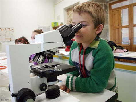El Mejor Microscopio Para Niños. Comparativa & Guia De ...