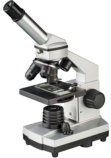 El mejor microscopio para niños en 2019: opiniones y ...