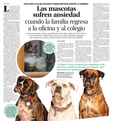 El Mercurio | Las mascotas sufren ansiedad cuando la familia regresa a ...