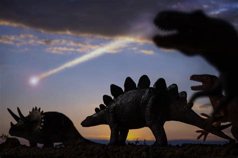 El meteorito que acabó con los dinosaurios: así se produjo ...