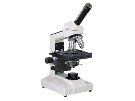 El microoscopio.: El microscopio electrónico.