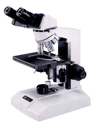 El microscopi òptic – Labobloc de Biologia i Geologia