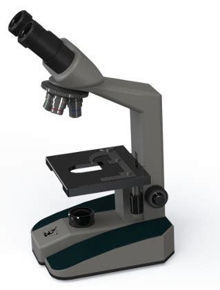 El Microscopio Compuesto: Características y Funcionamiento
