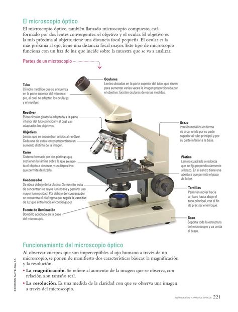 el microscopio con sus partes y funciones   Buscar con ...