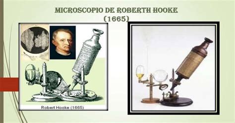 El microscopio de Robert Hooke [PDF Document]