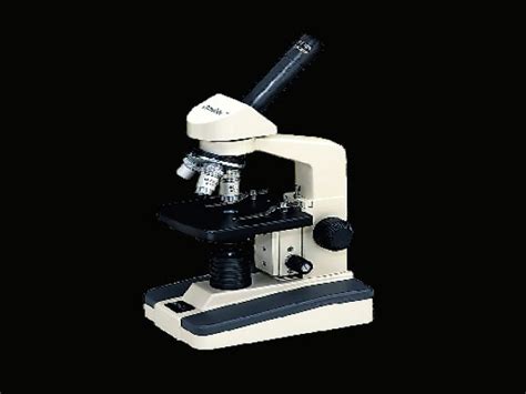 El microscopio | ElPopular.pe