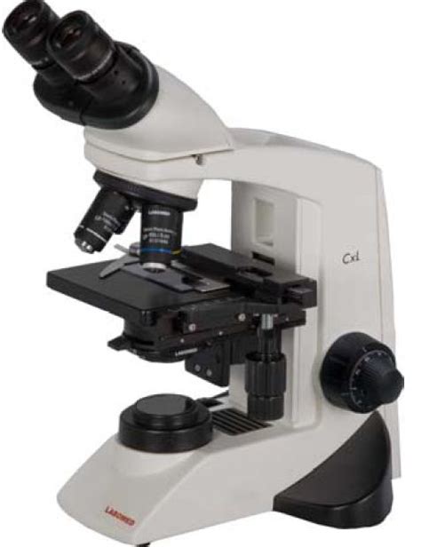 El Microscopio Imágenes   DESCRIBID