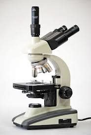 El microscopio   INVENTOS Y DESCUBRIMIENTOS