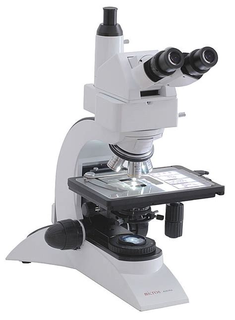 El microscopio | Laboratorio de Ciencias