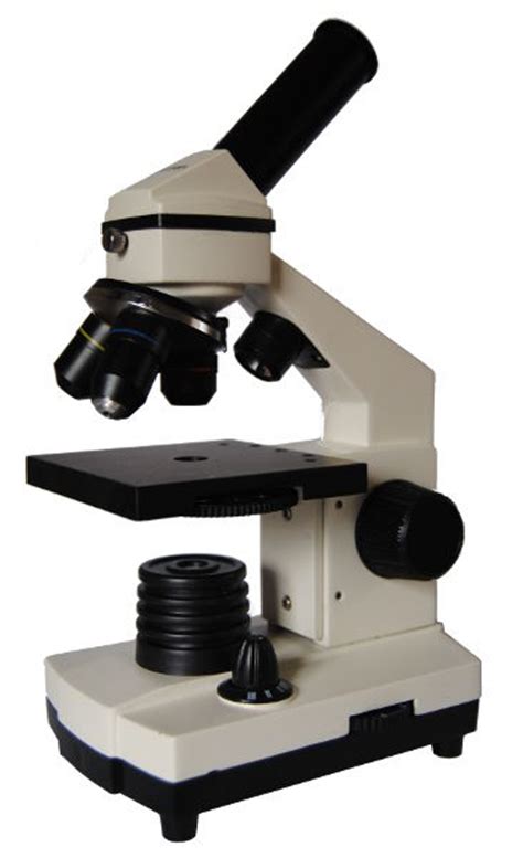 El microscopio monocular   Mundo Microscopio