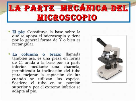El Microscopio