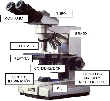 El Microscopio :: Nguyenhistorico
