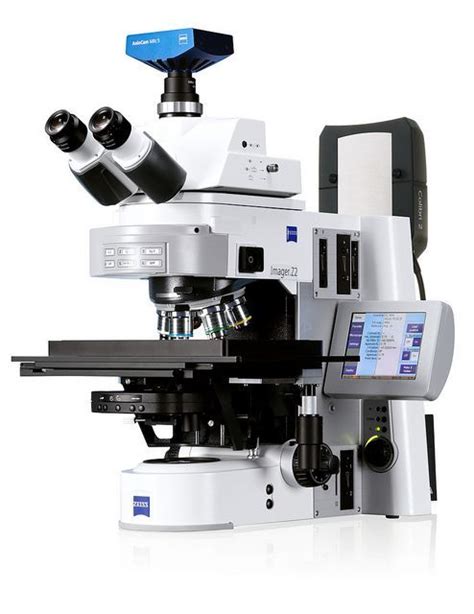 El microscopio óptico o compuesto   cienciaybiologia.com