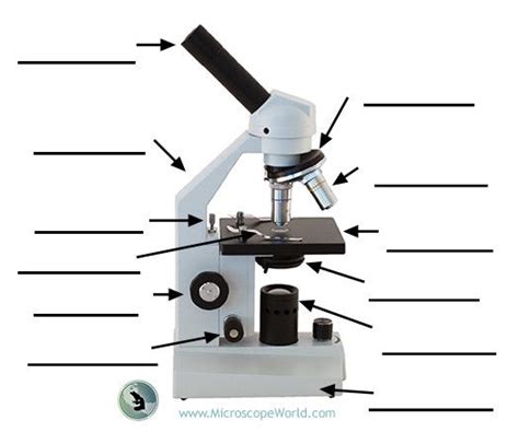 El microscopio  partes  | UNA SONRISA